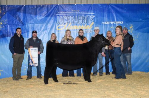 Champion Angus Female, 2021 Jackrabbits Memorial, Shown by Macey Miller