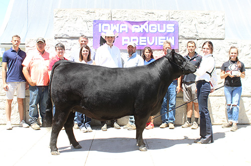 Supreme Female & Champion Owned, 2022 IA Junior Angus Preview