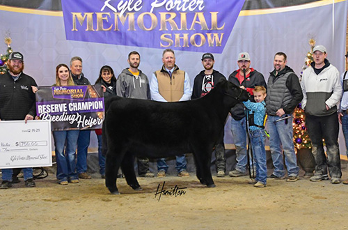 Res Supreme Heifer 2024 Kyle Porter Exhibited by Callen Skalla